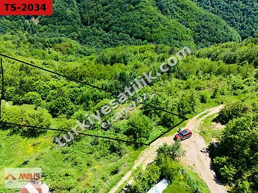 İznik Osmaniye'de Satılık 6708m² Tarla - Araç Takaslı