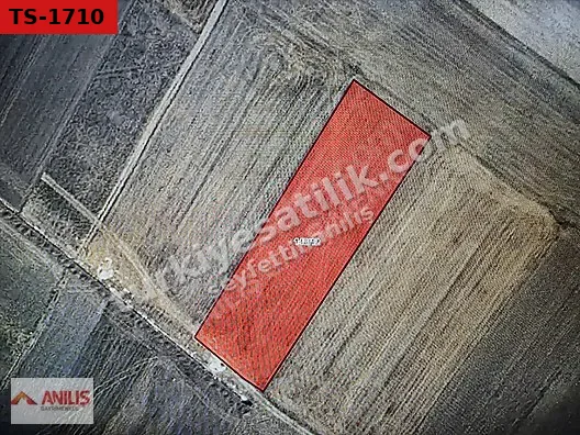 Kütahya Altıntaş'ta Yatırımlık Resmi Yollu Tarla