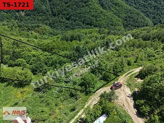 İznik Osmaniye'de Satılık 3354m² Tarla - Araç Takaslı